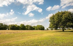 2300 Mcnelly Lane, Burton, TX 77835