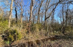 Heard Sylvester Road, Washington, LA 70589