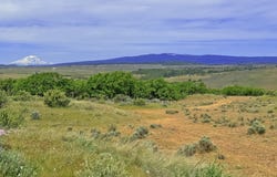 off Gnarly Oaks, Goldendale, WA 98620