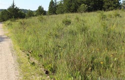 Niagra Drive, Rocky Mount, MO 65072