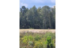 Highway 69 S, Lufkin, TX 75901