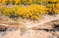 Lot 99 ROAD 3627, Aztec, NM 87410
