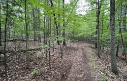 L19.22 Homestead Road, Saratoga Springs, NY 12866