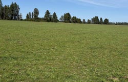 29210 N Spotted Rd, Deer Park, WA 99006