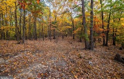 LUCAS HOLLOW RD, STANLEY, VA 22851