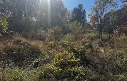 365 E Brown Street, East Stroudsburg, PA 18301