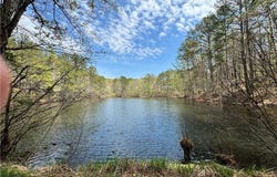 3 Meadowlands, Talking Rock, GA 30175
