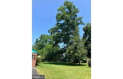 500 GREAT FALLS STREET, FALLS CHURCH, VA 22046