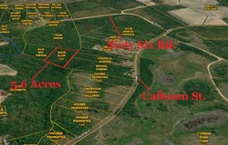0 Calhoun Street, Branchville, SC 29432