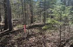 CTH O, Tomahawk, WI 54487