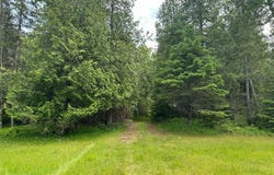 N8389 Old Mill 20.75, Cedar River, MI 49887