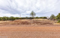 8429 Snowflake Circle, Show Low, AZ 85901