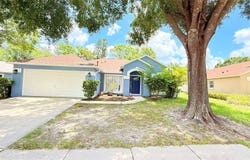 28818 MIDNIGHT STAR LOOP, WESLEY CHAPEL, FL 33543