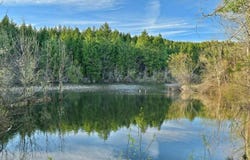 44335 Highway 62, Prospect, OR 97536