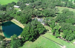 13450 NW GAINESVILLE ROAD, REDDICK, FL 32686