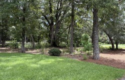 3146 Olivia Marie Lane, Johns Island, SC 29455