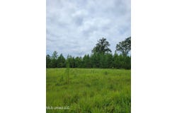 Highway 13, Oak Vale, MS 39656