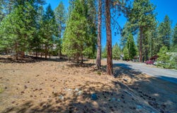 43 Tolowa Trail, Graeagle, CA 96103