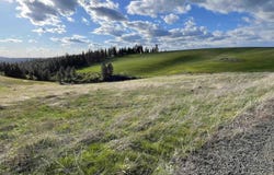 1204 Morris Road, Princeton, ID 83857