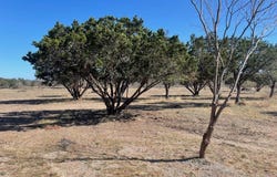 Hwy 55, Camp Wood, TX 78833