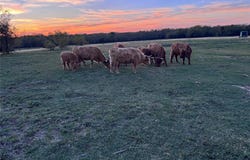 4081 FM 2736, Campbell, TX 75422