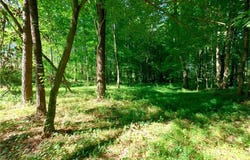 Carson Road, Cleveland, NC 27013