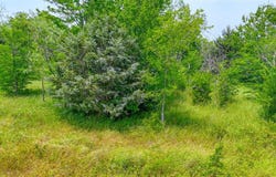 Lot 103 Wolf Creek, Corsicana, TX 75110