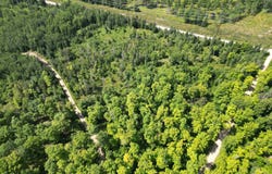 TBD CR 557, Perronville, MI 49873