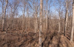 2834 Tyrolean Way Drive, Innsbrook, MO 63390