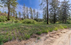 102 Red Canyon Court, Durango, CO 81301