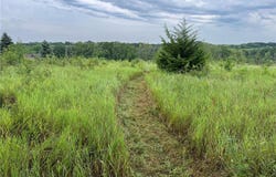Tbd Bass Lake Lane, Aurdal Twp, MN 56586