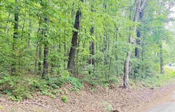 Lot 72 Holiday Shores Road, Scottsboro, AL 35769