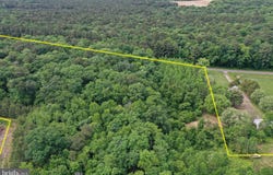 13.17 Acres COLONA ROAD, POCOMOKE CITY, MD 21851