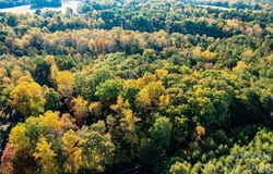 LOTS 7-13 Sipe Drive, Claremont, NC 28610