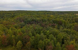 Shively Road, Fife Lake, MI 49633