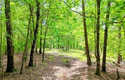 Off Mason Road, Brasstown, NC 26805