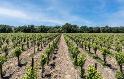 270 Soda Bay Road, Lakeport, CA 95453