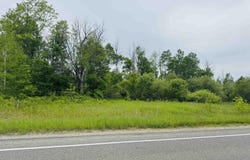 E 12 3/4 Road, Manton, MI 49663