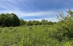 1 VL Fairview Road, Farmersville Station, NY 14060
