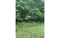 SE Kachina, Lee, FL 32059