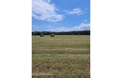 LOT 3 CO RD 191 ARROW AIRPARK SUBD., Flemington, MO 65650