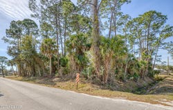2904 India Palm Drive, Edgewater, FL 32141