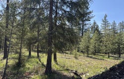 Nhn Franko Lane, Trout Creek, MT 59874