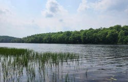 N5607 HWY 107, Irma, WI 54442