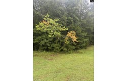 Harbor View Drive lot: 62, Prosperity, SC 29127