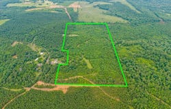 3536 & Tbd CR 1579, Avinger, TX 75630