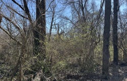 836 Fairmount Avenue, Signal Mountain, TN 37377