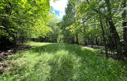 Tbd Floyd Pike, Hillsville, VA 24343