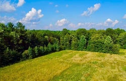 14435 Stantz Road, Coal City, IN 47427-7974