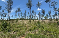 0 Grant 433, Sheridan, AR 72150